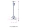 Globe Valve