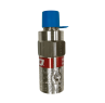 RegO 3/8 NPT, 100 PSI, Stainless Steel ASME Relief, Fluorosilicone
