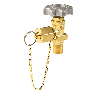 Rego CGA 025, 1/2" Line Station Valve, No Cap / Chain