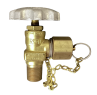 Rego CGA 024 Line Station Valve, With Cap & Chain