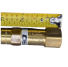 RegO 1/4" NPT Settings to 22 PSIG Valve, Fluorosilicone Seat, With Pipe Away, No Drain Hole