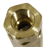 RegO Two Piece Brass Check Valve For Car Wash Industry, Soft Seat, 1/4" NPTF E/E, 2000 PSI, Cracking Pressure 5 PSI, Viton O-Ring
