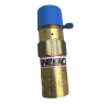 RegO 1/4" NPT Settings to 22 PSIG Valve, Fluorosilicone Seat