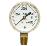 RegO 2" Gauge, 0 to 4000 PSIG