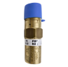 RegO 1/2" NPT Settings to 75 PSIG Valve, Fluorosilicone Seat