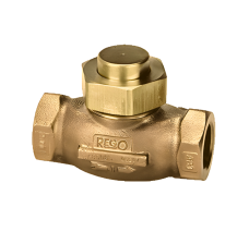RegO Goddard Horizontal Check Valve 1" F.NPT