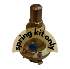 RegO BR17867SKD Spring Kit