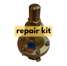 RegO Repair Kit, Diaphragm Assembly for the 1786 and BR1788 Series