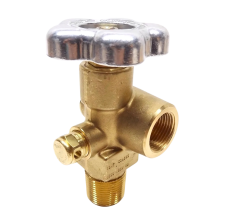 SHERWOOD NGV SERIES VALVE, CGA 350, 3/4 NGT, 4000 PSI, CG5 - NGV35065-38