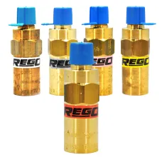 RegO 1/4" NPT Settings to 325 PSIG Valve, PTFE Seat