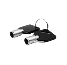 Pro-Lock Keys (Set of 2)
