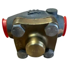 RegO Goddard Horizontal Check Valve 1" F.NPT