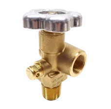 SHERWOOD NGV SERIES VALVE, CGA695, 3/4 NGT, 5833 PSI CG5
