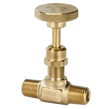 RegO 1/4" Globe MNPT