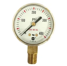 RegO 2" Gauge, 0-400 PSIG