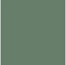 Aerosol Dove Gray Spray Paint, Can