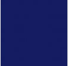 Aerosol Blue Spray Paint, TWO CASES (24 CANS)