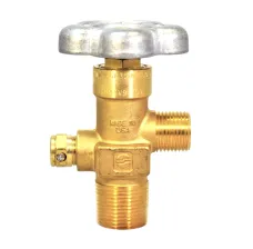 Sherwood Residual Pressure Valve for Carbon Monoxide and Hydrogen