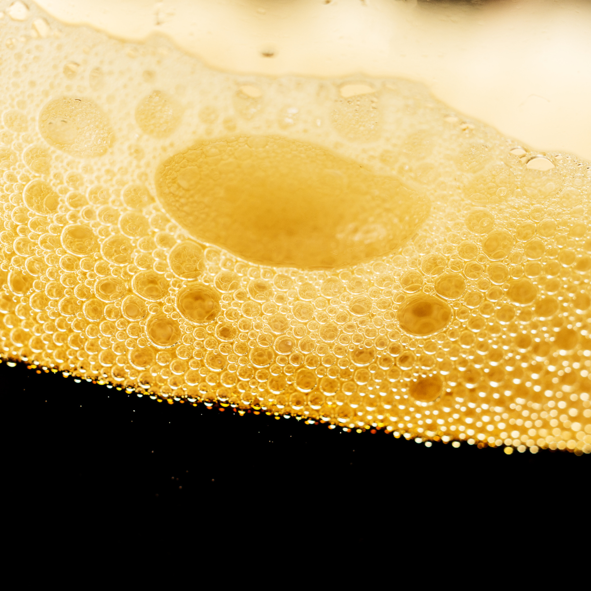 Brewing Parts Breakdown